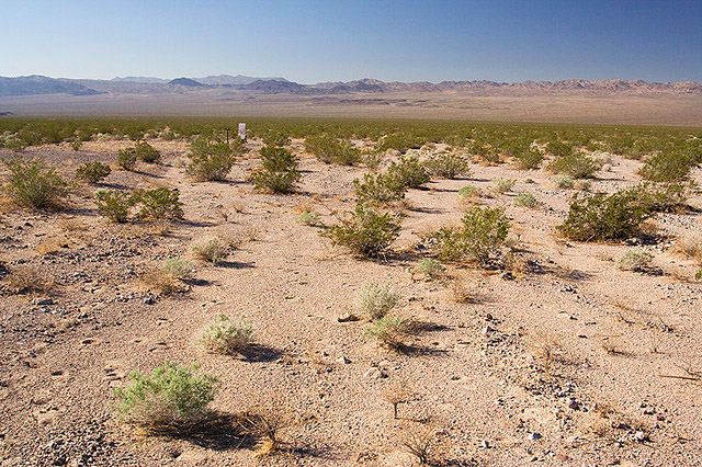 image of desert with sign, chair, and lecturn in the distance